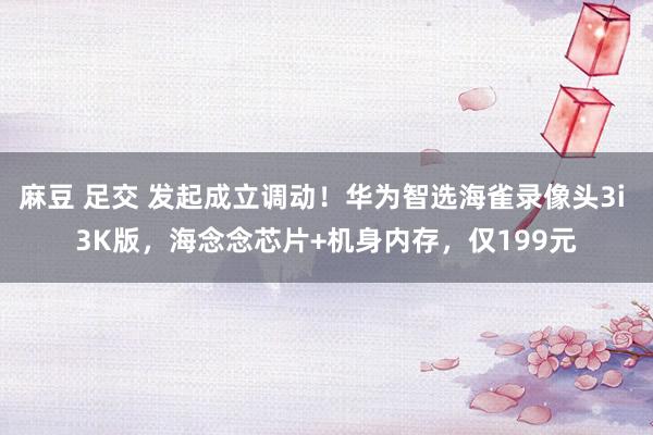 麻豆 足交 发起成立调动！华为智选海雀录像头3i 3K版，海念念芯片+机身内存，仅199元