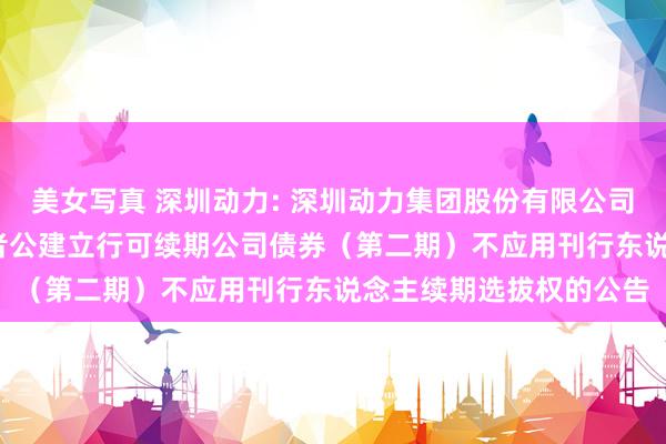 美女写真 深圳动力: 深圳动力集团股份有限公司2021年面向专科投资者公建立行可续期公司债券(第二期)不应用刊行东说念主续期选拔权的公告