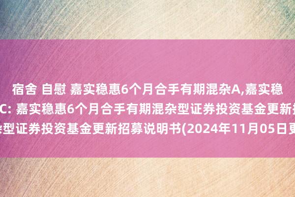 宿舍 自慰 嘉实稳惠6个月合手有期混杂A,嘉实稳惠6个月合手有期混杂C: 嘉实稳惠6个月合手有期混杂型证券投资基金更新招募说明书(2024年11月05日更新)