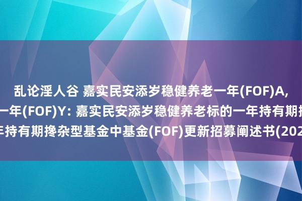 乱论淫人谷 嘉实民安添岁稳健养老一年(FOF)A,嘉实民安添岁稳健养老一年(FOF)Y: 嘉实民安添岁稳健养老标的一年持有期搀杂型基金中基金(FOF)更新招募阐述书(2024年11月05日更新)