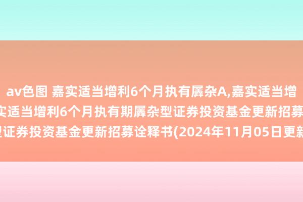 av色图 嘉实适当增利6个月执有羼杂A,嘉实适当增利6个月执有羼杂C: 嘉实适当增利6个月执有期羼杂型证券投资基金更新招募诠释书(2024年11月05日更新)