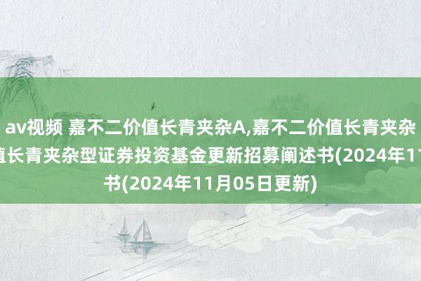 av视频 嘉不二价值长青夹杂A,嘉不二价值长青夹杂C: 嘉不二价值长青夹杂型证券投资基金更新招募阐述书(2024年11月05日更新)