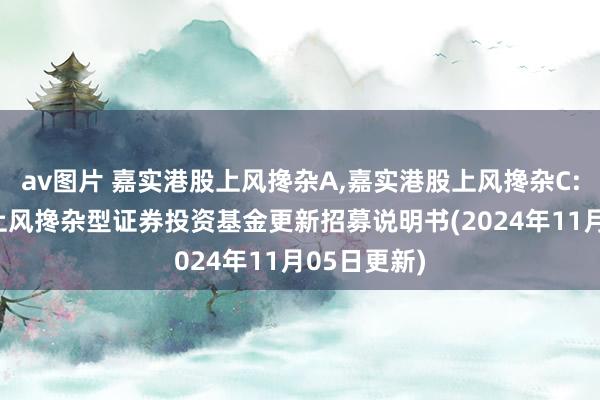 av图片 嘉实港股上风搀杂A,嘉实港股上风搀杂C: 嘉实港股上风搀杂型证券投资基金更新招募说明书(2024年11月05日更新)