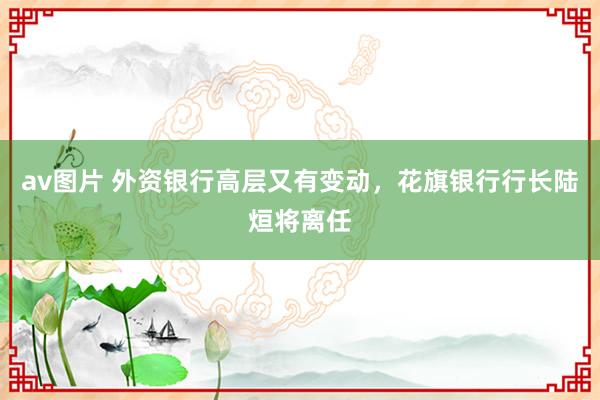 av图片 外资银行高层又有变动，花旗银行行长陆烜将离任