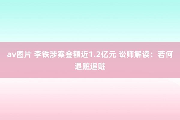 av图片 李铁涉案金额近1.2亿元 讼师解读：若何退赃追赃