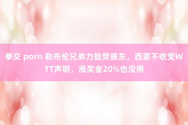 拳交 porn 勒布伦兄弟力挺樊振东，西蒙不收受WTT声明，涨奖金20%也没用