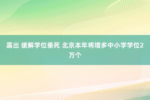 露出 缓解学位垂死 北京本年将增多中小学学位2万个