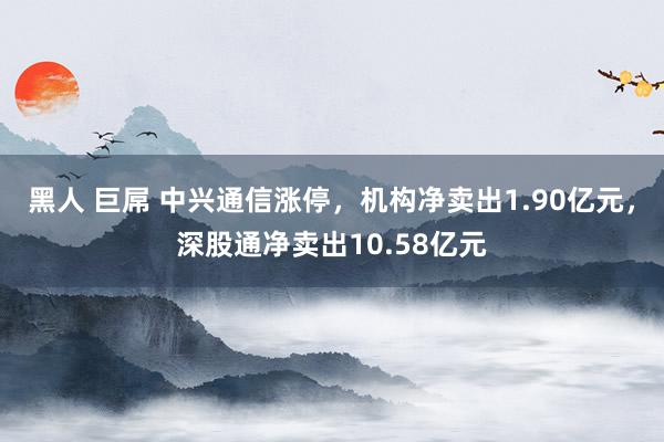 黑人 巨屌 中兴通信涨停，机构净卖出1.90亿元，深股通净卖出10.58亿元