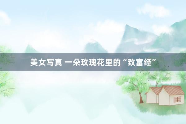 美女写真 一朵玫瑰花里的“致富经”
