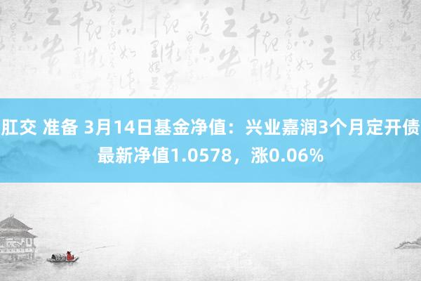肛交 准备 3月14日基金净值：兴业嘉润3个月定开债最新净值1.0578，涨0.06%