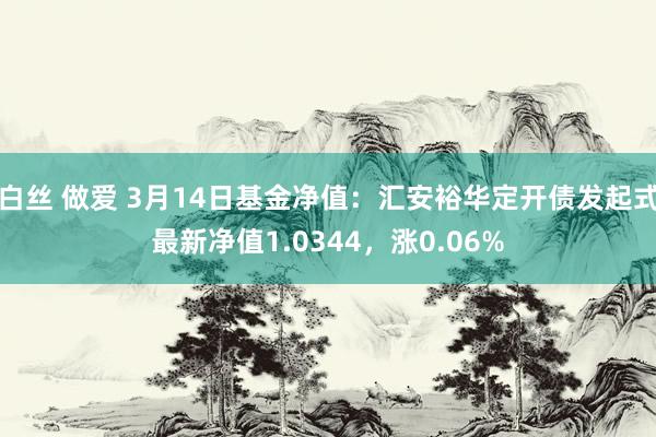 白丝 做爱 3月14日基金净值：汇安裕华定开债发起式最新净值1.0344，涨0.06%