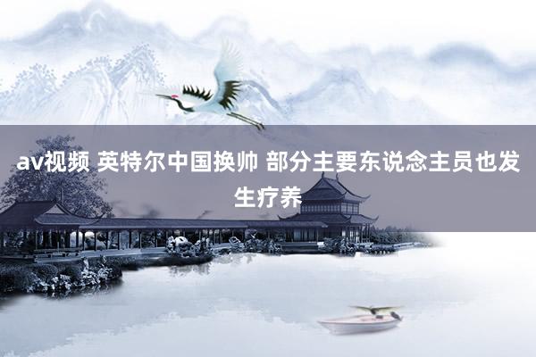 av视频 英特尔中国换帅 部分主要东说念主员也发生疗养