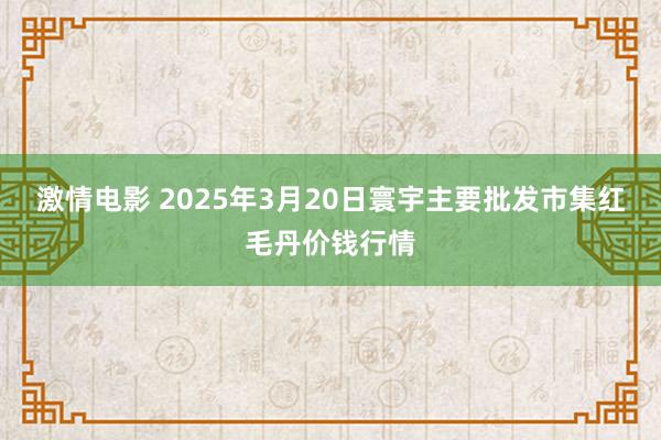 激情电影 2025年3月20日寰宇主要批发市集红毛丹价钱行情