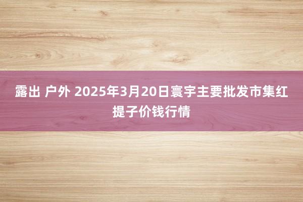 露出 户外 2025年3月20日寰宇主要批发市集红提子价钱行情