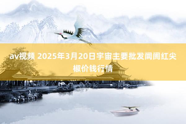 av视频 2025年3月20日宇宙主要批发阛阓红尖椒价钱行情