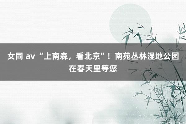 女同 av “上南森，看北京”！南苑丛林湿地公园在春天里等您