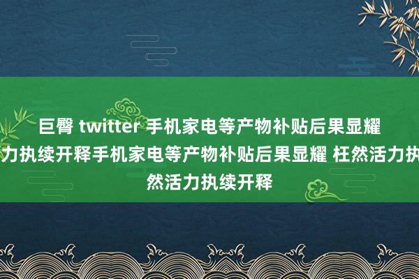 巨臀 twitter 手机家电等产物补贴后果显耀 枉然活力执续开释手机家电等产物补贴后果显耀 枉然活力执续开释