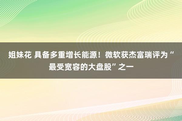 姐妹花 具备多重增长能源！微软获杰富瑞评为“最受宽容的大盘股”之一
