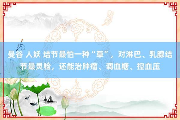 曼谷 人妖 结节最怕一种“草”，对淋巴、乳腺结节最灵验，还能治肿瘤、调血糖、控血压
