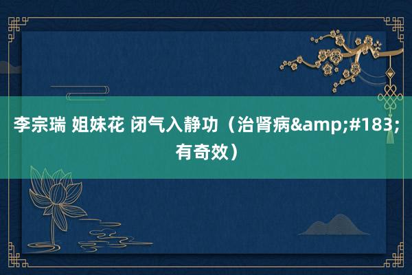 李宗瑞 姐妹花 闭气入静功（治肾病&#183;有奇效）