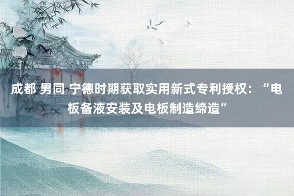 成都 男同 宁德时期获取实用新式专利授权：“电板备液安装及电板制造缔造”