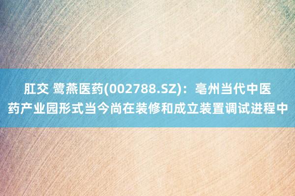肛交 鹭燕医药(002788.SZ)：亳州当代中医药产业园形式当今尚在装修和成立装置调试进程中