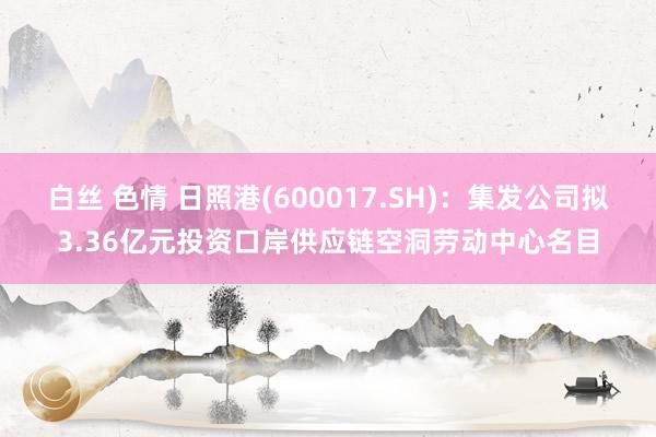 白丝 色情 日照港(600017.SH)：集发公司拟3.36亿元投资口岸供应链空洞劳动中心名目