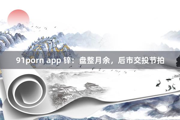 91porn app 锌：盘整月余，后市交投节拍