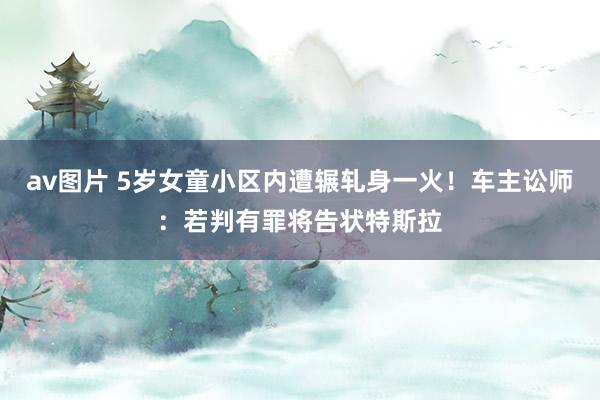 av图片 5岁女童小区内遭辗轧身一火！车主讼师：若判有罪将告状特斯拉