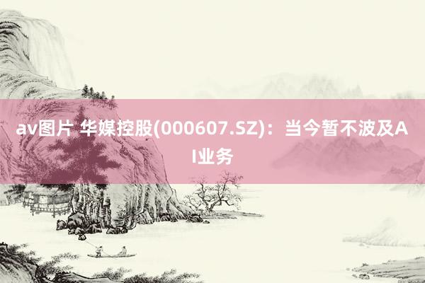 av图片 华媒控股(000607.SZ)：当今暂不波及AI业务