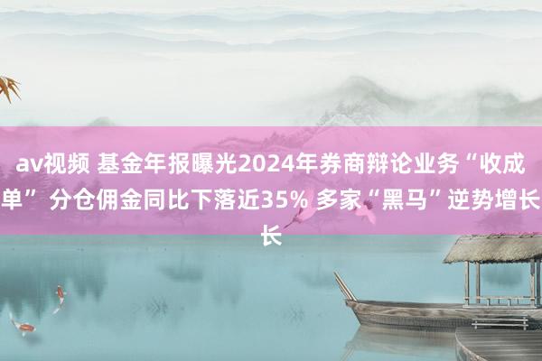 av视频 基金年报曝光2024年券商辩论业务“收成单” 分仓佣金同比下落近35% 多家“黑马”逆势增长