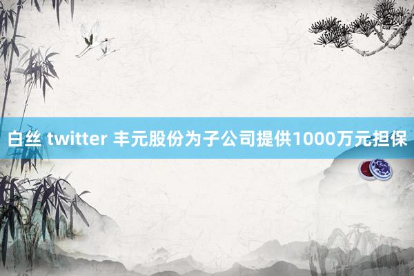 白丝 twitter 丰元股份为子公司提供1000万元担保