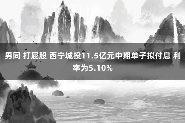 男同 打屁股 西宁城投11.5亿元中期单子拟付息 利率为5.10%