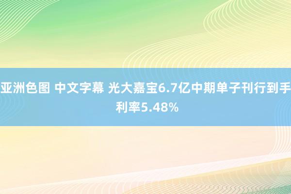 亚洲色图 中文字幕 光大嘉宝6.7亿中期单子刊行到手 利率5.48%