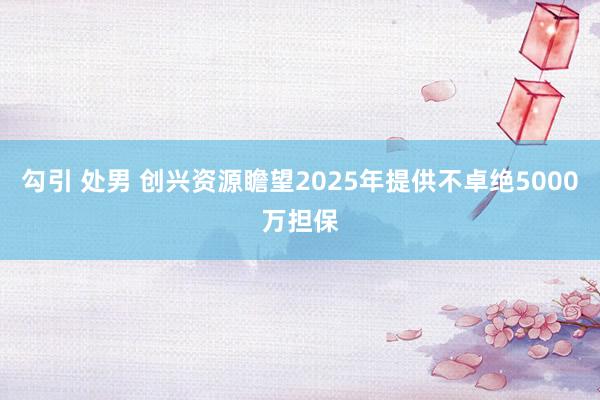 勾引 处男 创兴资源瞻望2025年提供不卓绝5000万担保