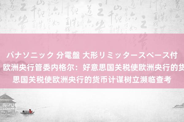 パナソニック 分電盤 大形リミッタースペース付 露出・半埋込両用形 欧洲央行管委内格尔：好意思国关税使欧洲央行的货币计谋树立濒临查考