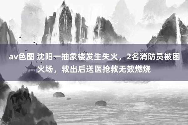 av色图 沈阳一抽象楼发生失火，2名消防员被困火场，救出后送医抢救无效燃烧