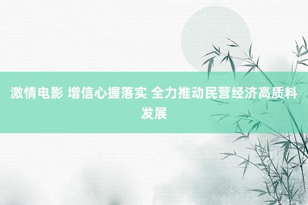 激情电影 增信心握落实 全力推动民营经济高质料发展