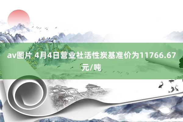 av图片 4月4日营业社活性炭基准价为11766.67元/吨