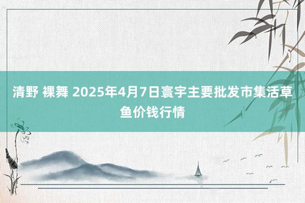 清野 裸舞 2025年4月7日寰宇主要批发市集活草鱼价钱行情