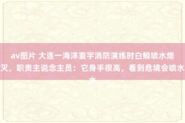 av图片 大连一海洋寰宇消防演练时白鲸喷水熄灭，职责主说念主员：它身手很高，看到危境会喷水