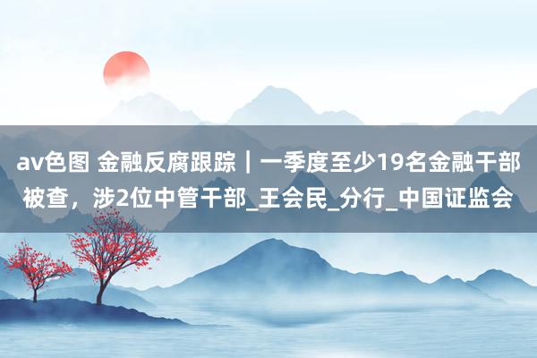 av色图 金融反腐跟踪｜一季度至少19名金融干部被查，涉2位中管干部_王会民_分行_中国证监会