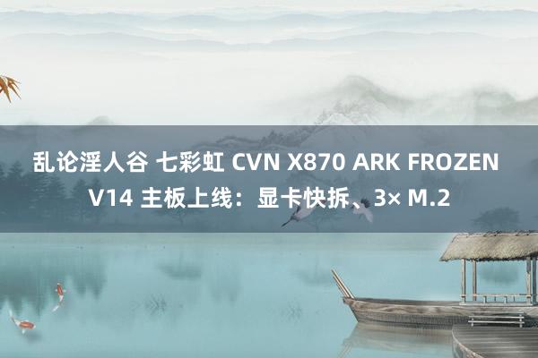 乱论淫人谷 七彩虹 CVN X870 ARK FROZEN V14 主板上线：显卡快拆、3× M.2