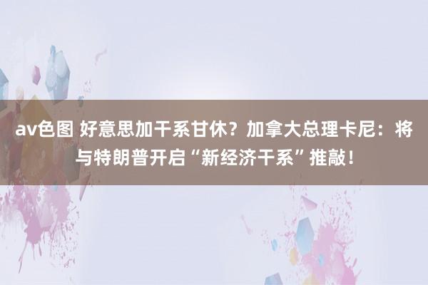 av色图 好意思加干系甘休？加拿大总理卡尼：将与特朗普开启“新经济干系”推敲！