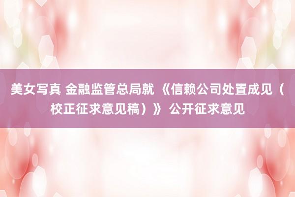 美女写真 金融监管总局就 《信赖公司处置成见（校正征求意见稿）》 公开征求意见