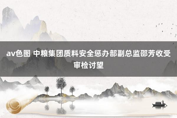 av色图 中粮集团质料安全惩办部副总监邵芳收受审检讨望