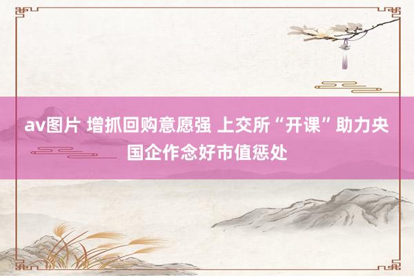 av图片 增抓回购意愿强 上交所“开课”助力央国企作念好市值惩处