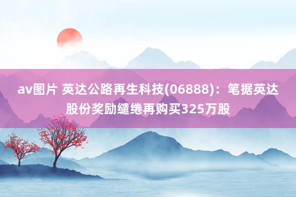 av图片 英达公路再生科技(06888)：笔据英达股份奖励缱绻再购买325万股