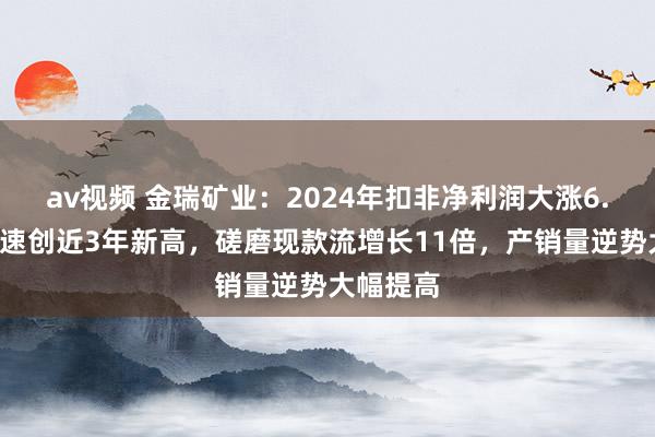 av视频 金瑞矿业：2024年扣非净利润大涨6.8倍，增速创近3年新高，磋磨现款流增长11倍，产销量逆势大幅提高