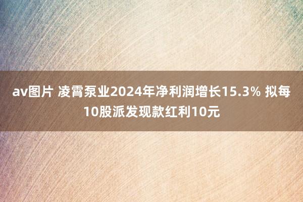 av图片 凌霄泵业2024年净利润增长15.3% 拟每10股派发现款红利10元